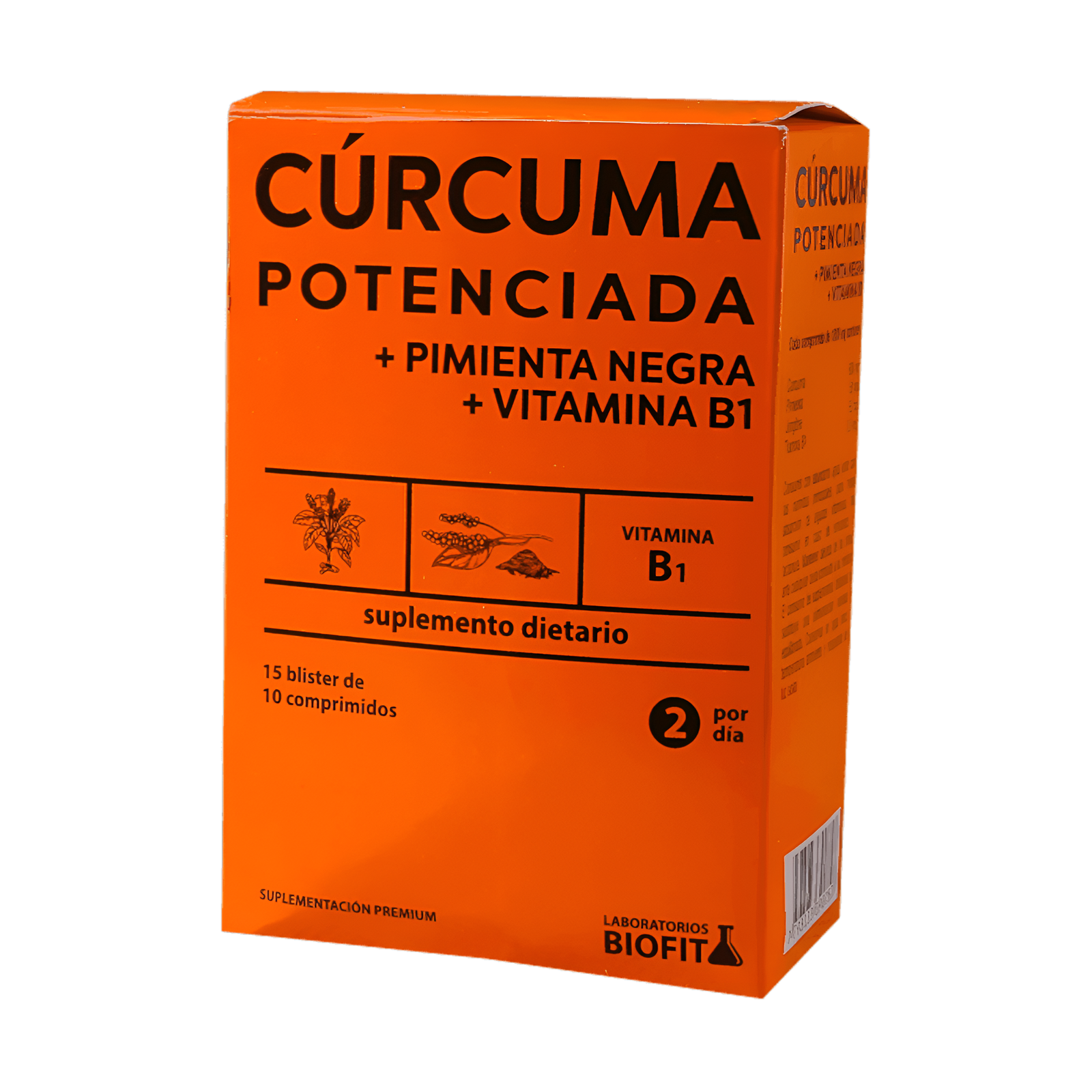 Curcuma + Pimienta Biofit