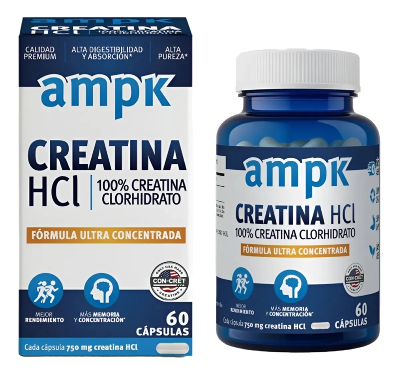AMPK CREATINA Ultraconcentrada - Framingham